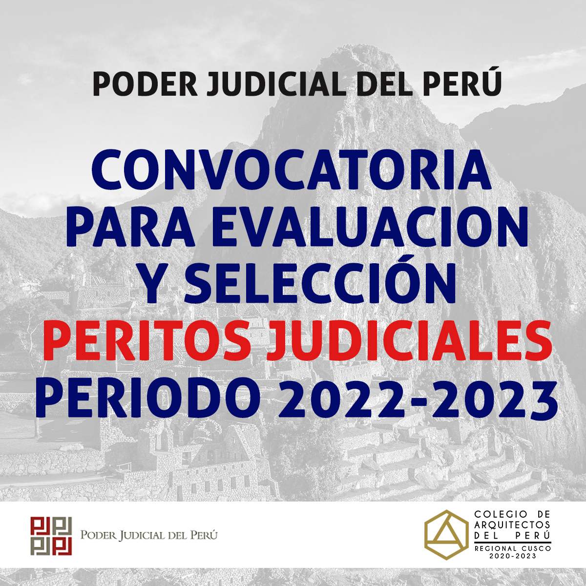 convocatoria PJ